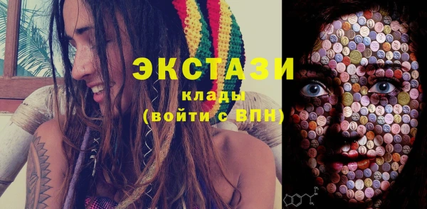 ECSTASY Тайга