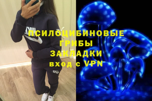 МДПВ Армянск