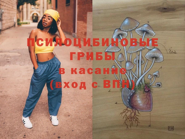 МДПВ Армянск