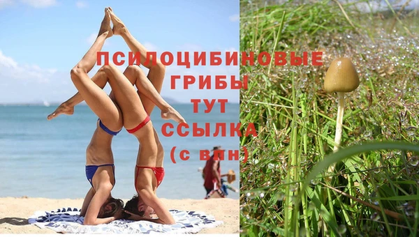 МДПВ Армянск