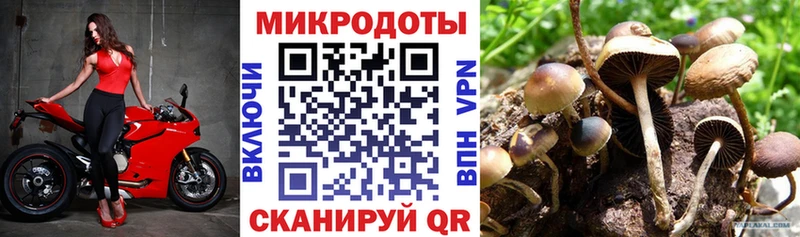 Псилоцибиновые грибы Cubensis  ссылка на мегу зеркало  Любань 